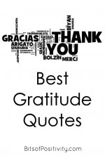 Best Gratitude Quotes