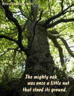 “Mighty Oak” Word-Art Freebie