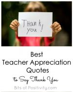 Best Teacher Appreciation Quotes to Say Thank You