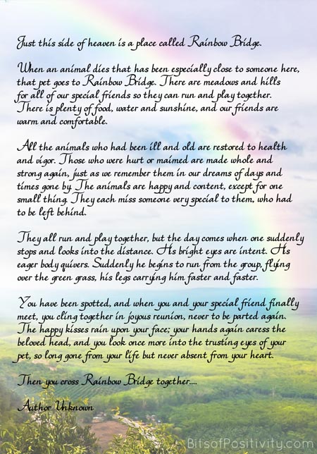 rainbow bridge free printable poem pet loss