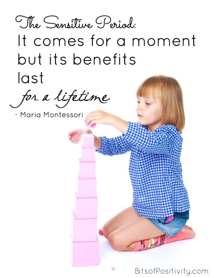 The Sensitive Period: "It comes for a moment but its benefits last for a lifetime." Maria Montessori