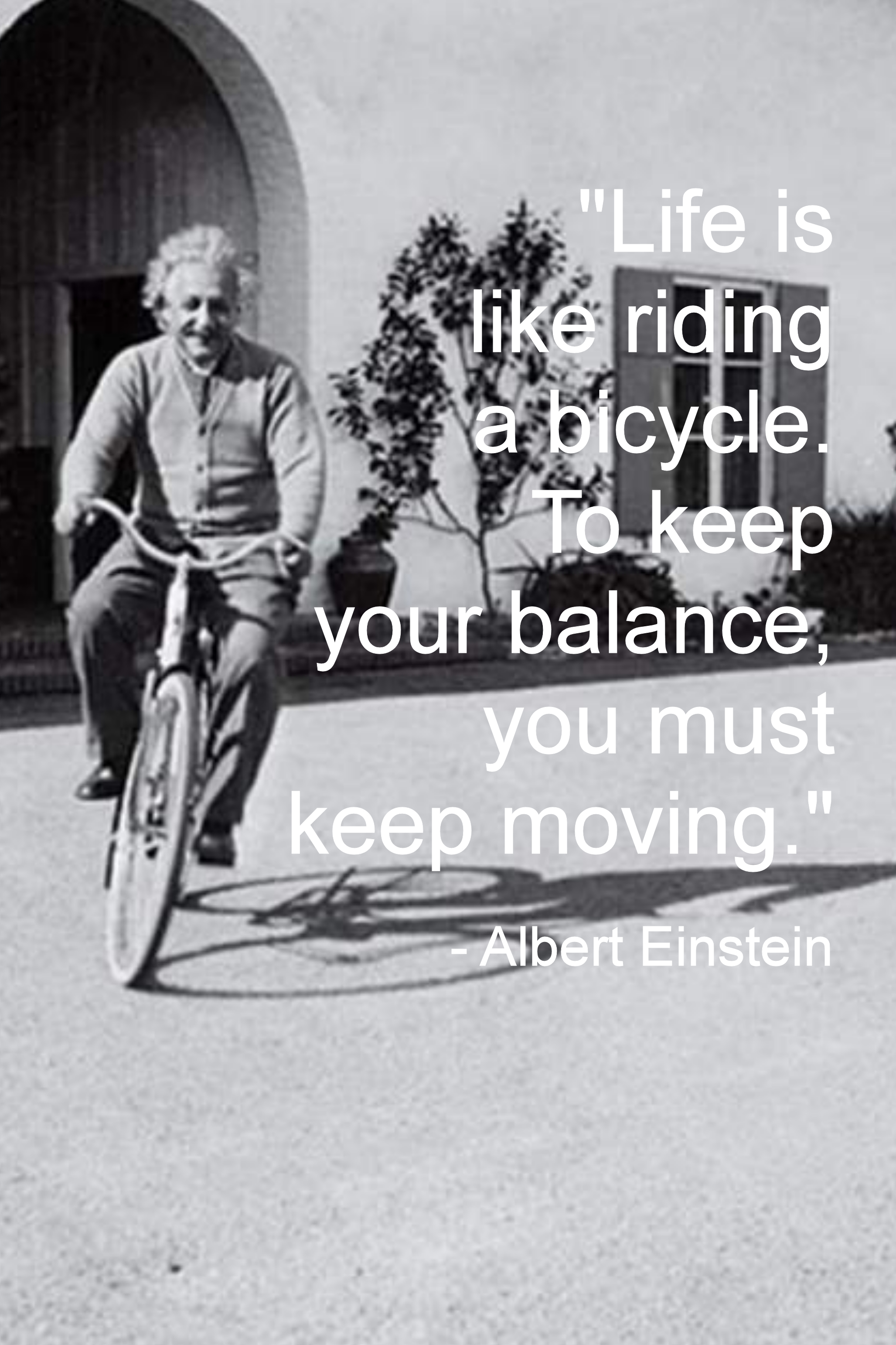 Life Is Like A Riding Bicycle To Keep Your Balance You Must Keep Moving Jannel Josefa