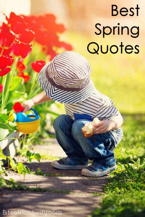 Best Spring Quotes {Favorite Seasonal Inspiration} - Bits of Positivity